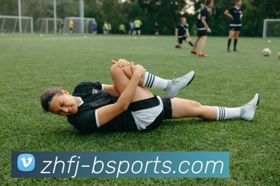 B体育BsportsAPP 封面图